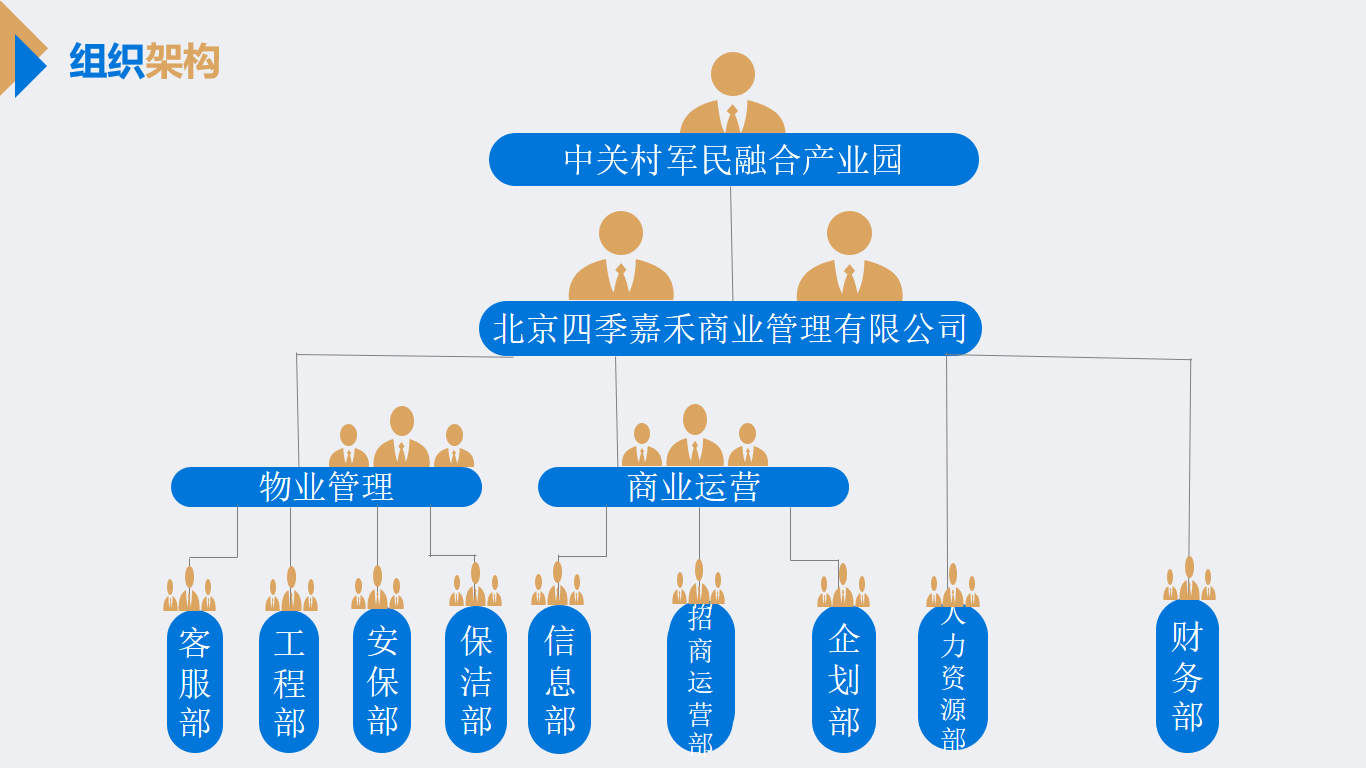 组织架构